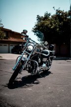 Thumbnail Photo 2 for 2003 Harley-Davidson Dyna Low Rider 100th Anniversary for Sale by Owner