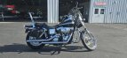Thumbnail Photo 3 for 2003 Harley-Davidson Dyna Wide Glide Anniversary