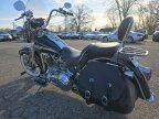 Thumbnail Photo 1 for 2003 Harley-Davidson Softail