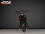 Thumbnail Photo 4 for 2003 Harley-Davidson Softail Standard Anniversary