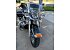 2003 Harley-Davidson Touring Road King Anniversary FI