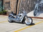 Thumbnail Photo 1 for 2003 Harley-Davidson V-Rod
