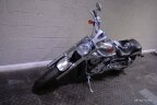 Thumbnail Photo 1 for 2003 Harley-Davidson V-Rod Anniversary