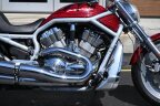 Thumbnail Photo 4 for 2003 Harley-Davidson V-Rod Anniversary