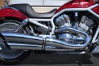 Thumbnail Photo 5 for 2003 Harley-Davidson V-Rod Anniversary