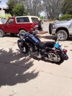 Thumbnail Photo 5 for 2004 Harley-Davidson Softail