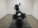 Thumbnail Photo 3 for 2004 Harley-Davidson Softail