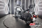 Thumbnail Photo 6 for 2004 Harley-Davidson Softail