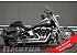 2004 Harley-Davidson Softail