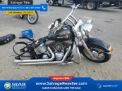 2004 Harley-Davidson Softail