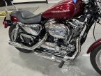 Thumbnail Photo 4 for 2004 Harley-Davidson Sportster