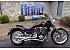 2004 Victory Arlen Ness