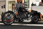 Thumbnail Photo 6 for 2005 Harley-Davidson Softail