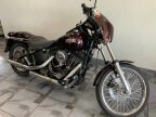 Thumbnail Photo 1 for 2005 Harley-Davidson Softail