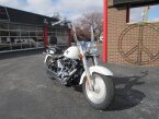 Thumbnail Photo 3 for 2005 Harley-Davidson Softail