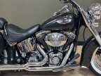 Thumbnail Photo 2 for 2005 Harley-Davidson Softail