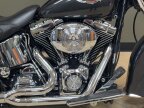 Thumbnail Photo 3 for 2005 Harley-Davidson Softail