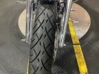 Thumbnail Photo 4 for 2005 Harley-Davidson Softail