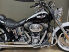 Thumbnail Photo 2 for 2005 Harley-Davidson Softail