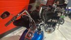 Thumbnail Photo 3 for 2005 Harley-Davidson Softail