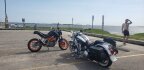 Thumbnail Photo 4 for 2005 Harley-Davidson Softail Deluxe Anniversary for Sale by Owner