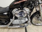Thumbnail Photo 1 for 2005 Harley-Davidson Sportster