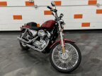 Thumbnail Photo 2 for 2005 Harley-Davidson Sportster