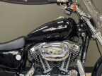 Thumbnail Photo 4 for 2005 Harley-Davidson Sportster