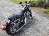 2005 Harley-Davidson Sportster 883 Low