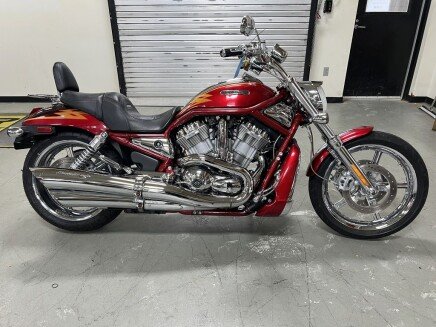 Photo 1 for 2005 Harley-Davidson V-Rod