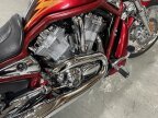 Thumbnail Photo 6 for 2005 Harley-Davidson V-Rod