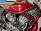 Thumbnail Photo 5 for 2005 Harley-Davidson V-Rod