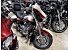 2006 Harley-Davidson CVO Screamin Eagle Ultra Classic