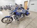 Thumbnail Photo 4 for 2006 Harley-Davidson Softail