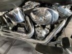 Thumbnail Photo 4 for 2006 Harley-Davidson Softail