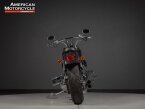 Thumbnail Photo 3 for 2006 Harley-Davidson Softail