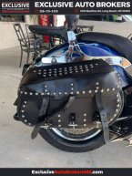 Thumbnail Photo 4 for 2006 Harley-Davidson Softail