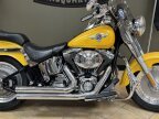 Thumbnail Photo 2 for 2006 Harley-Davidson Softail