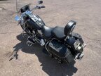 Thumbnail Photo 4 for 2006 Harley-Davidson Softail