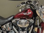 Thumbnail Photo 4 for 2006 Harley-Davidson Softail