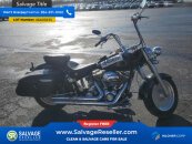 New 2006 Harley-Davidson Softail