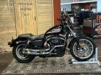 Thumbnail Photo 4 for 2006 Harley-Davidson Sportster