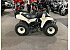 2006 Suzuki QuadSport 80
