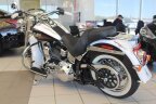 Thumbnail Photo 3 for 2007 Harley-Davidson Softail