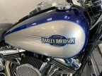 Thumbnail Photo 2 for 2007 Harley-Davidson Softail
