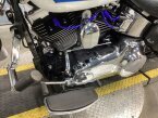 Thumbnail Photo 4 for 2007 Harley-Davidson Softail