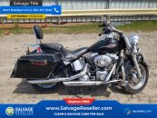 New 2007 Harley-Davidson Softail
