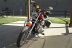 Thumbnail Photo 2 for 2007 Harley-Davidson Sportster 883 Custom