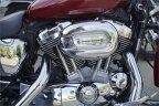 Thumbnail Photo 1 for 2007 Harley-Davidson Sportster 883 Custom