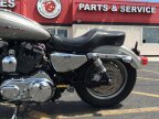 Thumbnail Photo 4 for 2007 Harley-Davidson Sportster